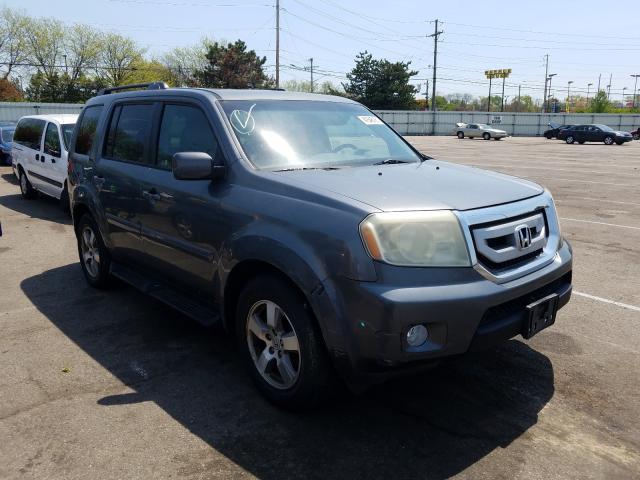 HONDA PILOT EXL 2010 5fnyf4h59ab034868