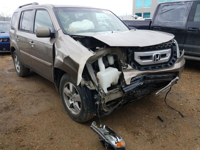 HONDA PILOT EXL 2010 5fnyf4h59ab504171