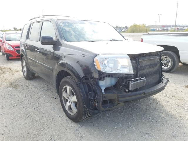 HONDA PILOT EXL 2011 5fnyf4h59bb002505