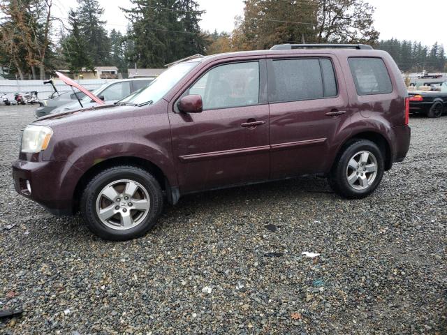 HONDA PILOT EXL 2011 5fnyf4h59bb002648