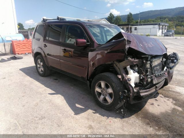 HONDA PILOT 2011 5fnyf4h59bb004576