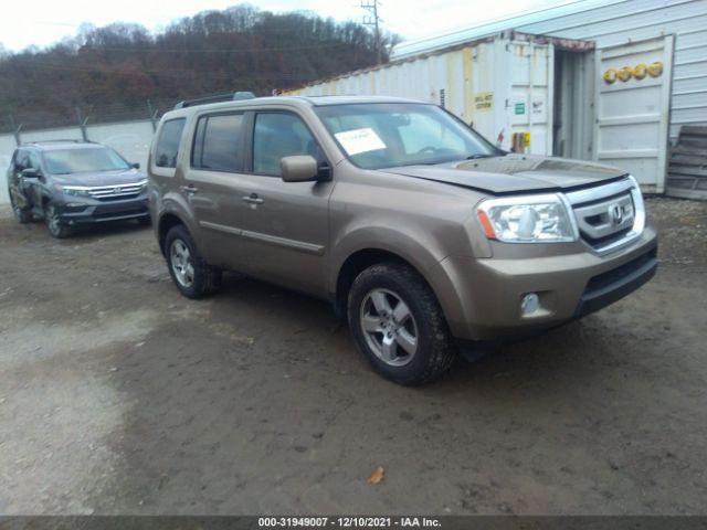 HONDA PILOT 2011 5fnyf4h59bb023600