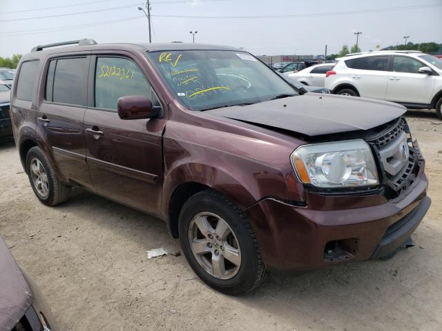 HONDA PILOT EXL 2011 5fnyf4h59bb026464