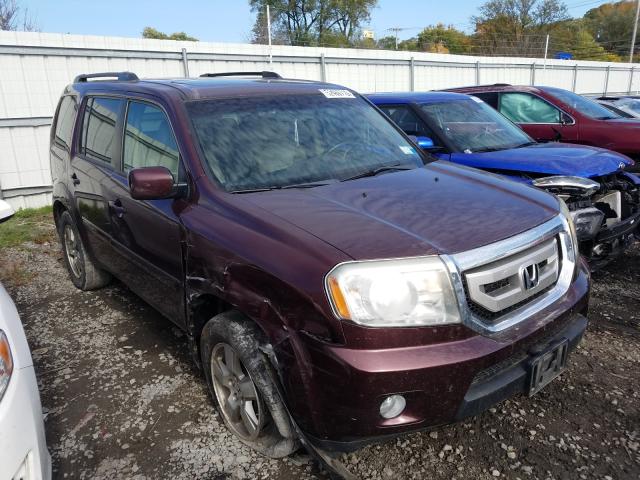 HONDA PILOT EXL 2011 5fnyf4h59bb033852