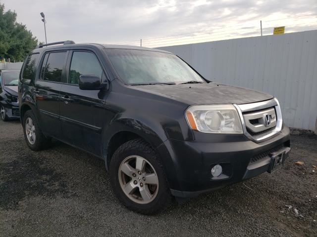 HONDA PILOT EXL 2011 5fnyf4h59bb035214