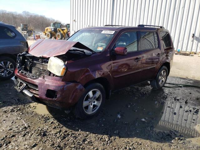 HONDA PILOT EXL 2011 5fnyf4h59bb047427