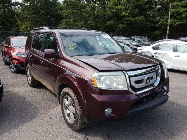 HONDA PILOT EXL 2011 5fnyf4h59bb050277