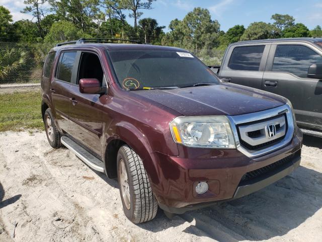 HONDA PILOT EXL 2011 5fnyf4h59bb050361