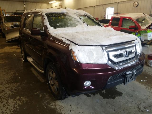 HONDA PILOT EXL 2011 5fnyf4h59bb056645