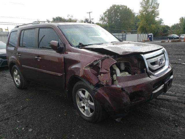 HONDA PILOT EXL 2011 5fnyf4h59bb060825