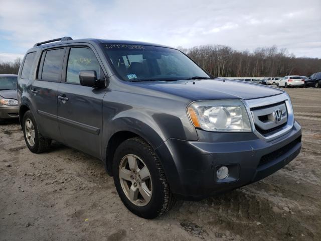 HONDA PILOT EXL 2011 5fnyf4h59bb066365