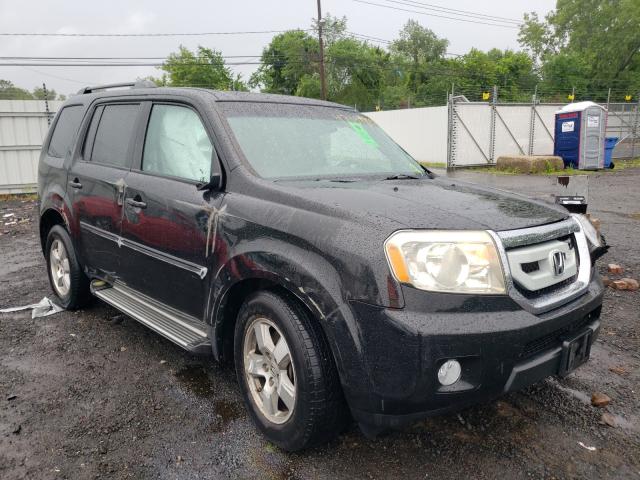 HONDA PILOT EXL 2011 5fnyf4h59bb073641