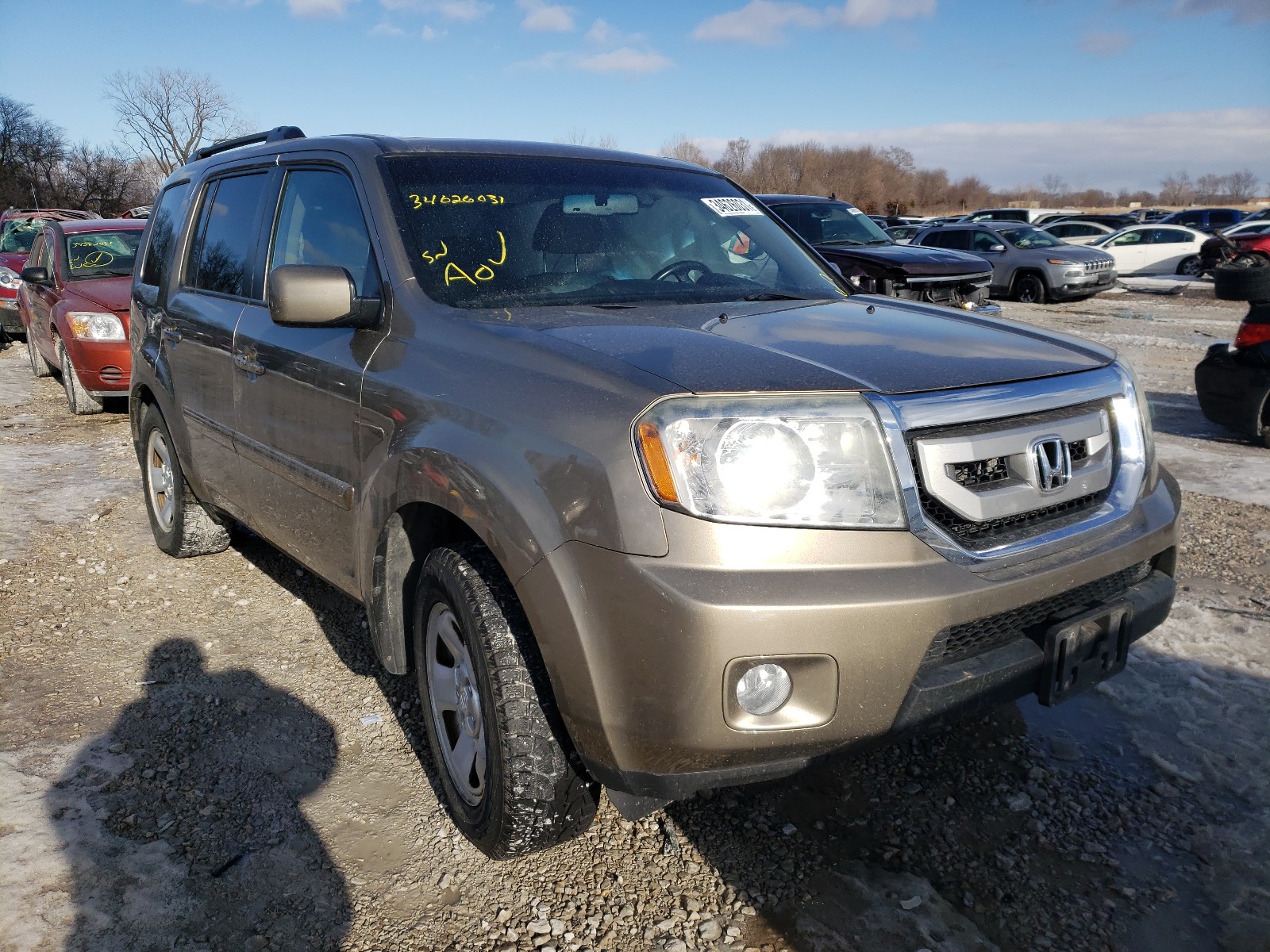 HONDA PILOT EXL 2011 5fnyf4h59bb074157