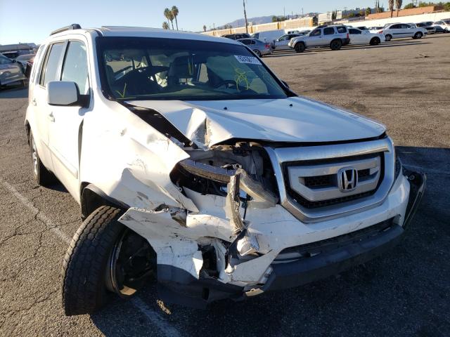 HONDA PILOT EXL 2011 5fnyf4h59bb079066