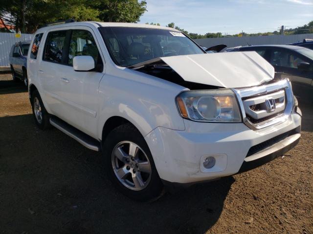 HONDA PILOT EXL 2011 5fnyf4h59bb085952