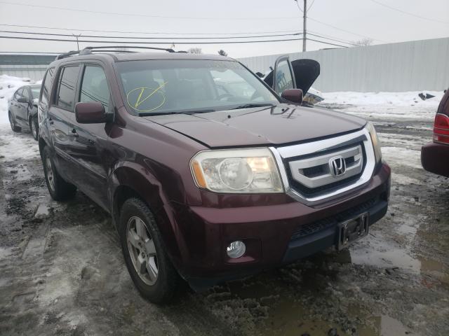 HONDA PILOT EXL 2011 5fnyf4h59bb091704