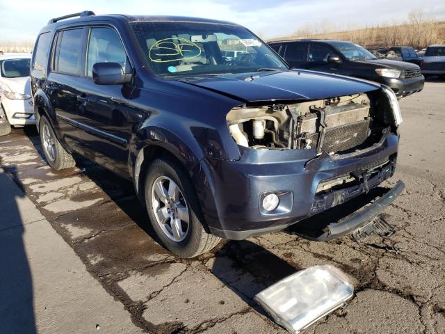 HONDA PILOT EXL 2011 5fnyf4h59bb105391