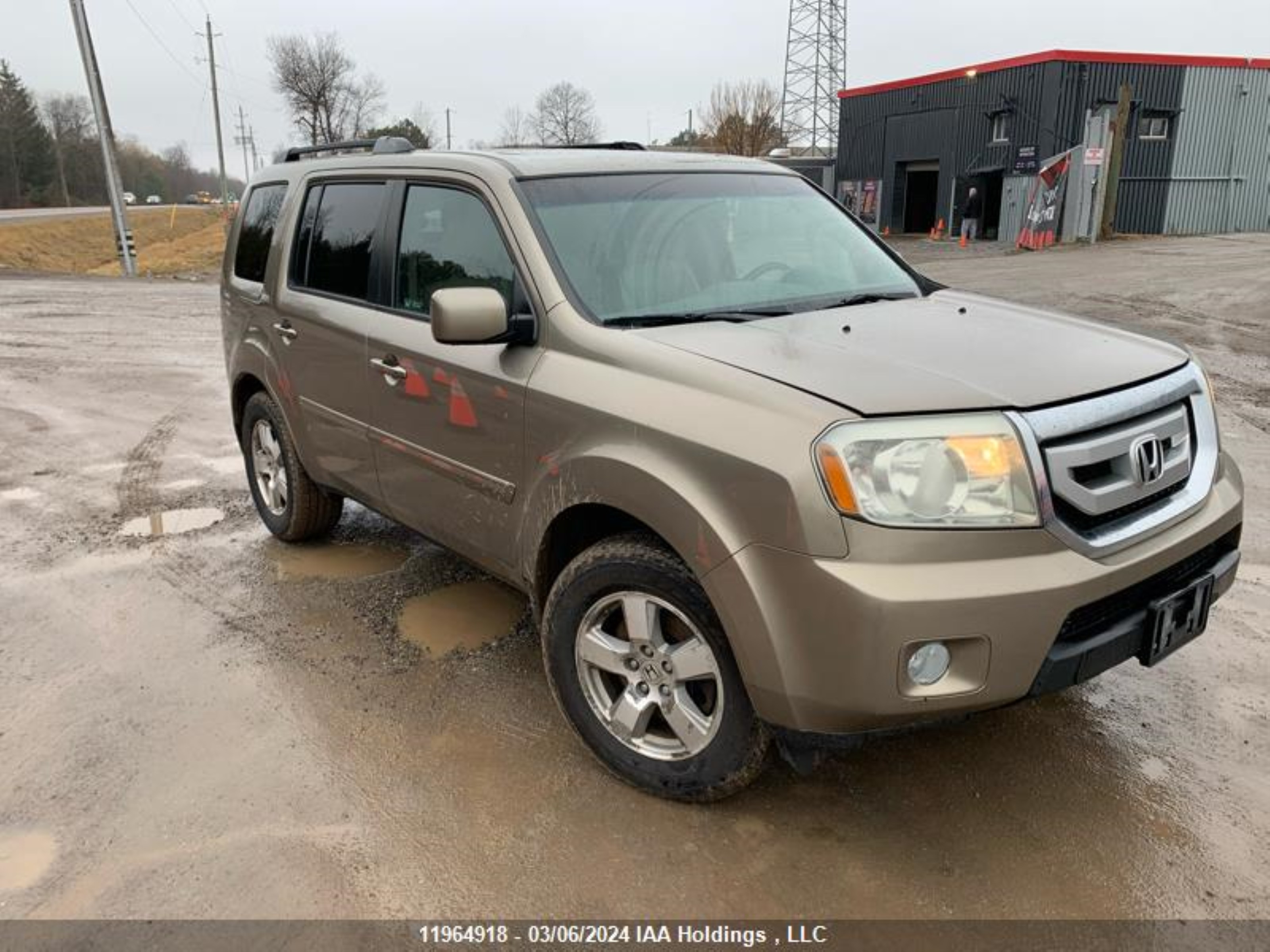 HONDA PILOT 2011 5fnyf4h59bb503832