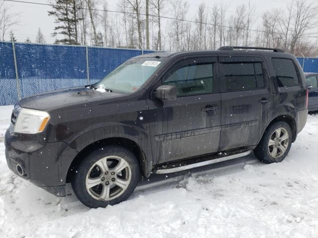 HONDA PILOT EXL 2014 5fnyf4h59eb501079