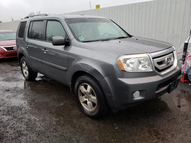 HONDA PILOT EXL 2010 5fnyf4h5xab005458