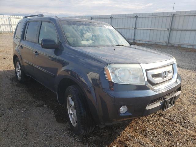 HONDA PILOT EXL 2010 5fnyf4h5xab024303