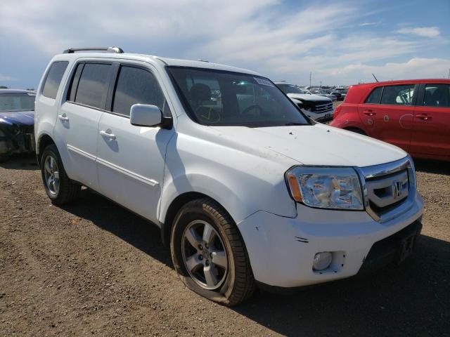 HONDA PILOT EXL 2010 5fnyf4h5xab037200