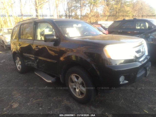 HONDA PILOT 2010 5fnyf4h5xab038007