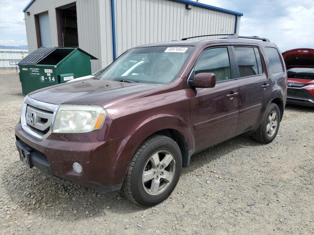 HONDA PILOT EXL 2011 5fnyf4h5xbb007194