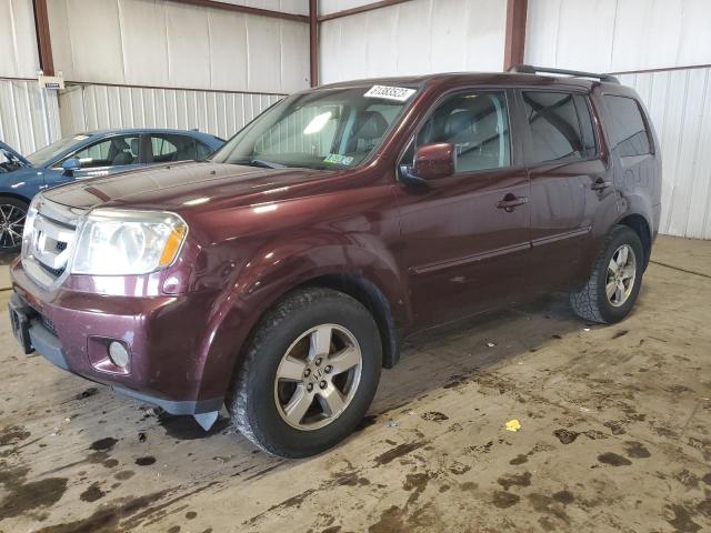 HONDA PILOT EXL 2011 5fnyf4h5xbb008331