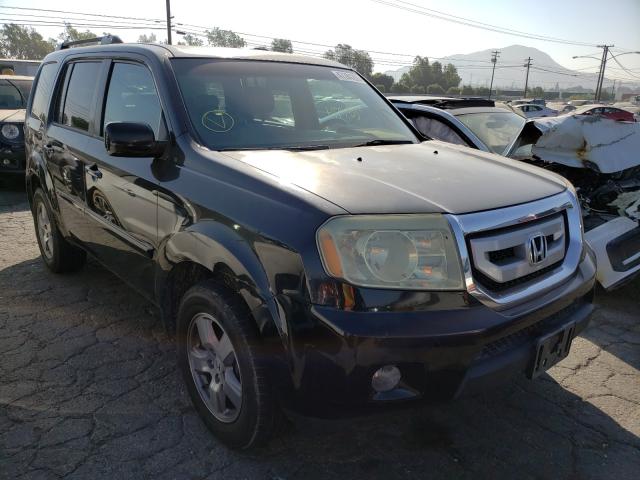 HONDA PILOT EXL 2011 5fnyf4h5xbb008751