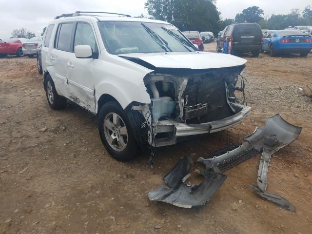 HONDA PILOT EXL 2011 5fnyf4h5xbb010077