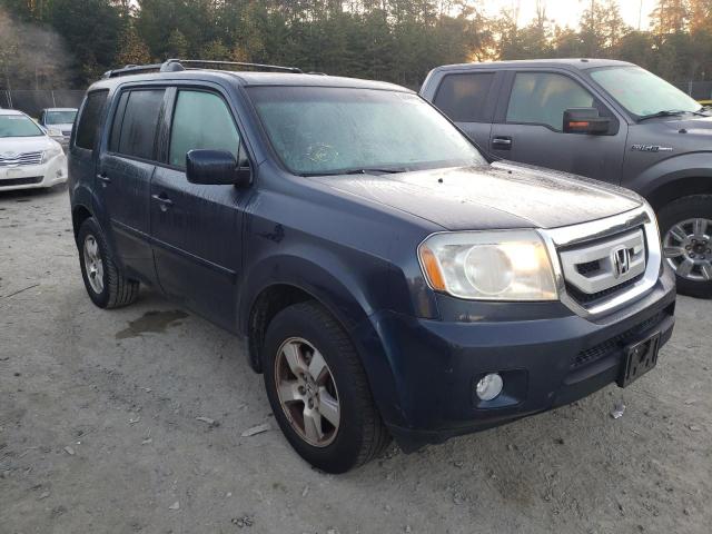 HONDA PILOT EXL 2011 5fnyf4h5xbb012704