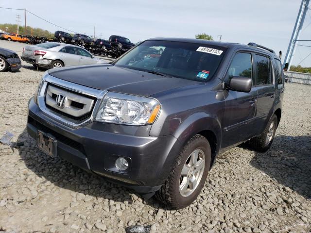 HONDA PILOT EXL 2011 5fnyf4h5xbb022777