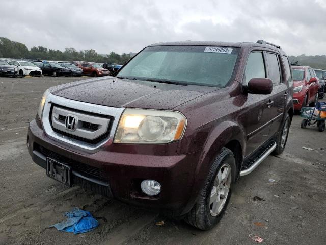 HONDA PILOT EXL 2011 5fnyf4h5xbb033486