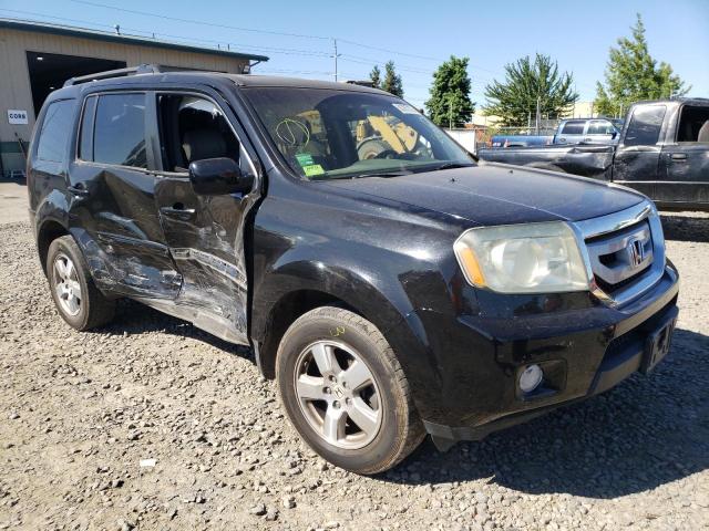 HONDA PILOT EXL 2011 5fnyf4h5xbb035206