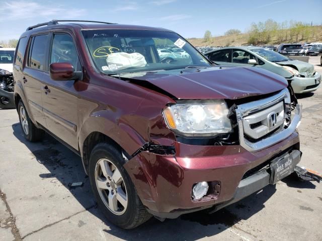 HONDA PILOT EXL 2011 5fnyf4h5xbb044746