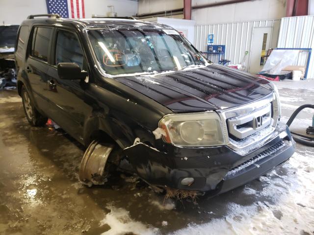 HONDA PILOT EXL 2011 5fnyf4h5xbb050840