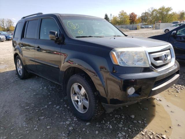 HONDA PILOT EXL 2011 5fnyf4h5xbb050885