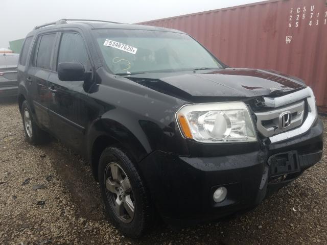 HONDA PILOT EXL 2011 5fnyf4h5xbb073843