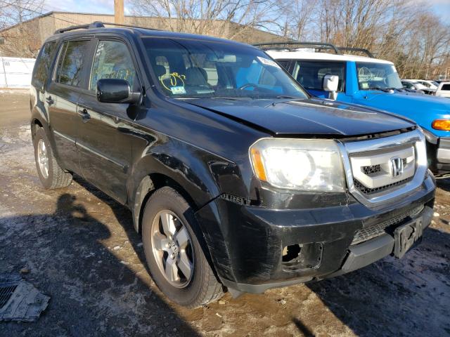 HONDA PILOT EXL 2011 5fnyf4h5xbb074913