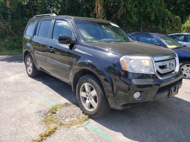 HONDA PILOT EXL 2011 5fnyf4h5xbb077746