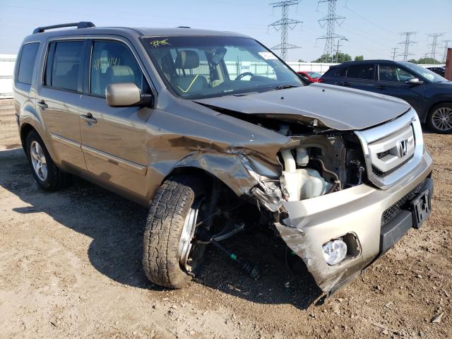 HONDA PILOT EXL 2011 5fnyf4h5xbb095194