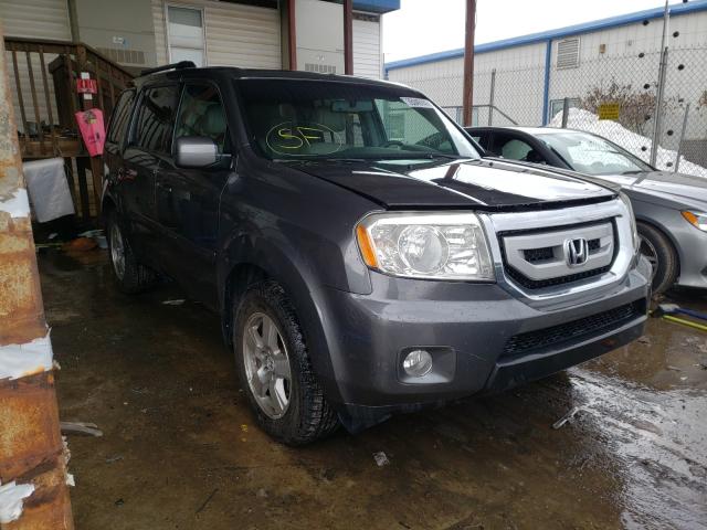 HONDA PILOT EXL 2011 5fnyf4h5xbb095910