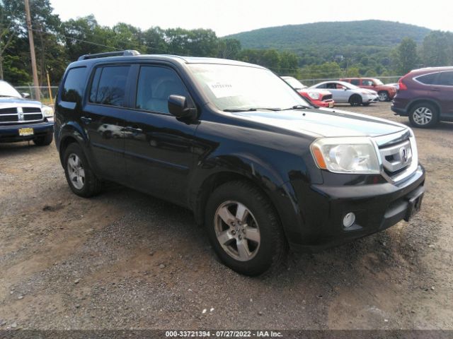 HONDA PILOT 2011 5fnyf4h5xbb104220