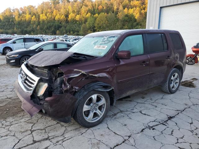 HONDA PILOT EXL 2013 5fnyf4h5xdb037864