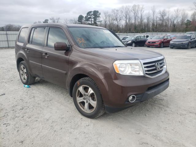 HONDA PILOT EXL 2013 5fnyf4h5xdb083131