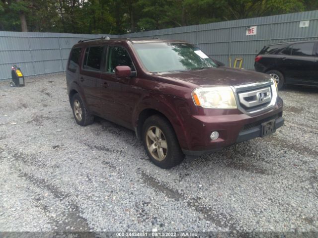 HONDA PILOT 2010 5fnyf4h60ab020432