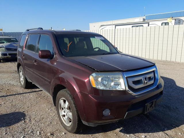 HONDA PILOT EXL 2010 5fnyf4h60ab024237