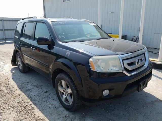 HONDA PILOT EXL 2010 5fnyf4h60ab033620