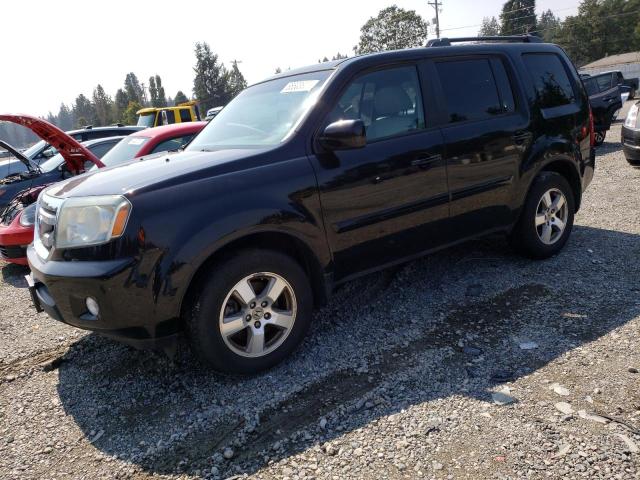 HONDA PILOT 2011 5fnyf4h60bb036003